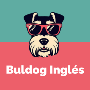 Buldog Inglés