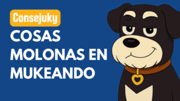 Diseños personalizados para mascotas
