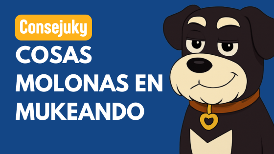 Diseños personalizados para mascotas