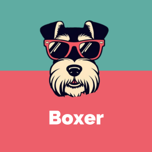 Boxer