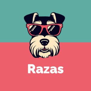 9 Razas de perro