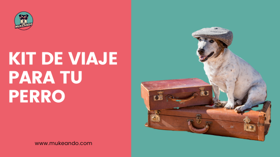 ARTICULOS PARA VIAJAR CON TU PERRO