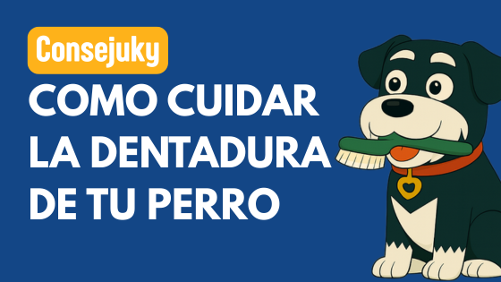 cuidado dental de perros