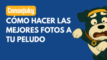 hacer buenas fotos a tu perro