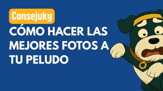 hacer buenas fotos a tu perro