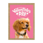 San Valentín Dog