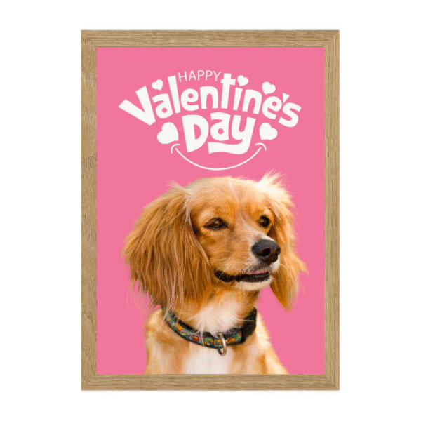 San Valentín Dog