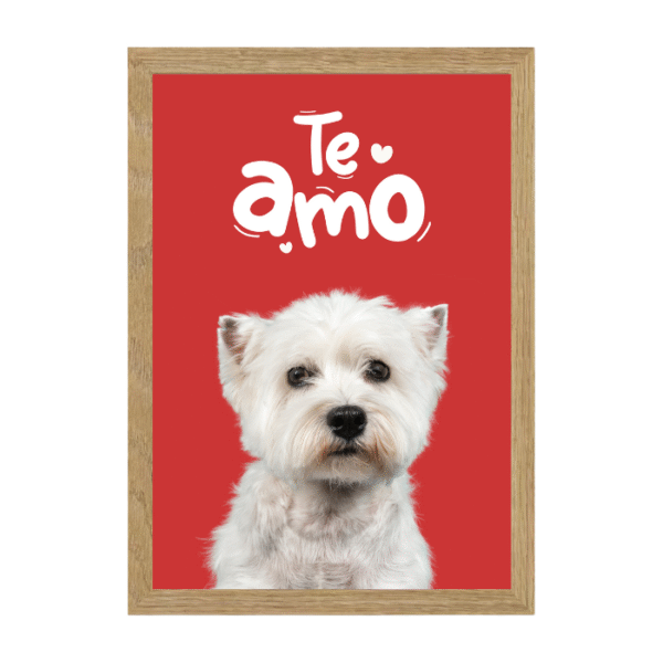 San Valentín Dog - Imagen 3