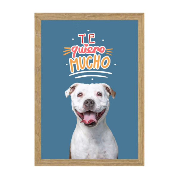 San Valentín Dog - Imagen 4