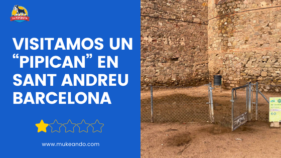 PIPICAN EN SANT ANDREU