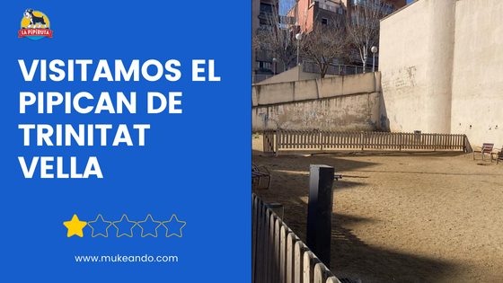 Pipican en Trinitat Vella