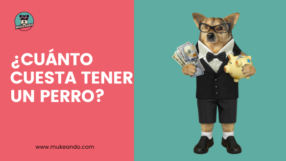 cuanto cuesta tener un perro