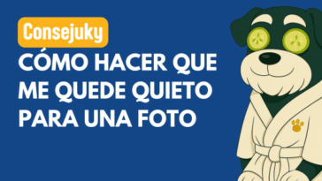 hacer que tu perro se quede quieto en una foto