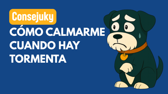mi perro tiene miedo de las tormentas