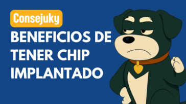 obligatorio poner chip a los perros