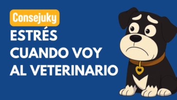 reducir el estrés de tu perro en el veterinario