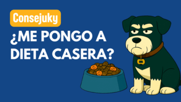 Dieta casera para perros
