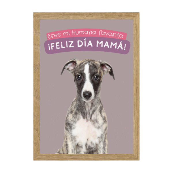 Día de la madre perruna - Imagen 4