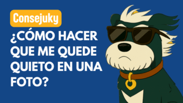 errores al fotografiar a tu perro