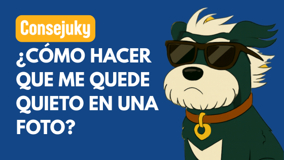 errores al fotografiar a tu perro