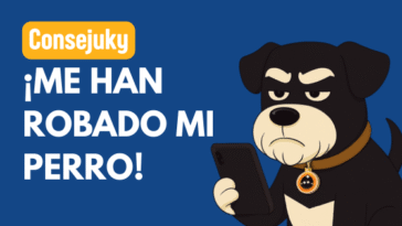 qué hacer si te roban el perro