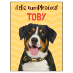 Tarjeta Felicitación Nº2