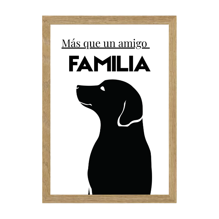 Lámina Nº134