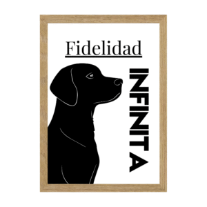 Lámina Nº136