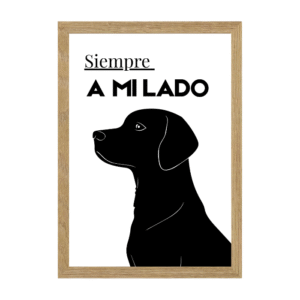 Lámina Nº139