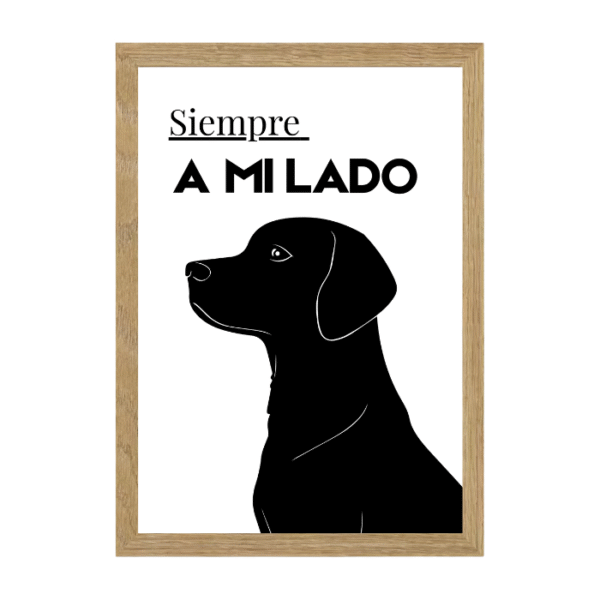 Lámina Nº139