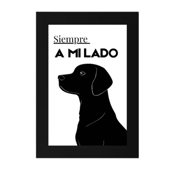 Lámina Nº139 - Imagen 3