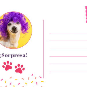 Postales mascotas