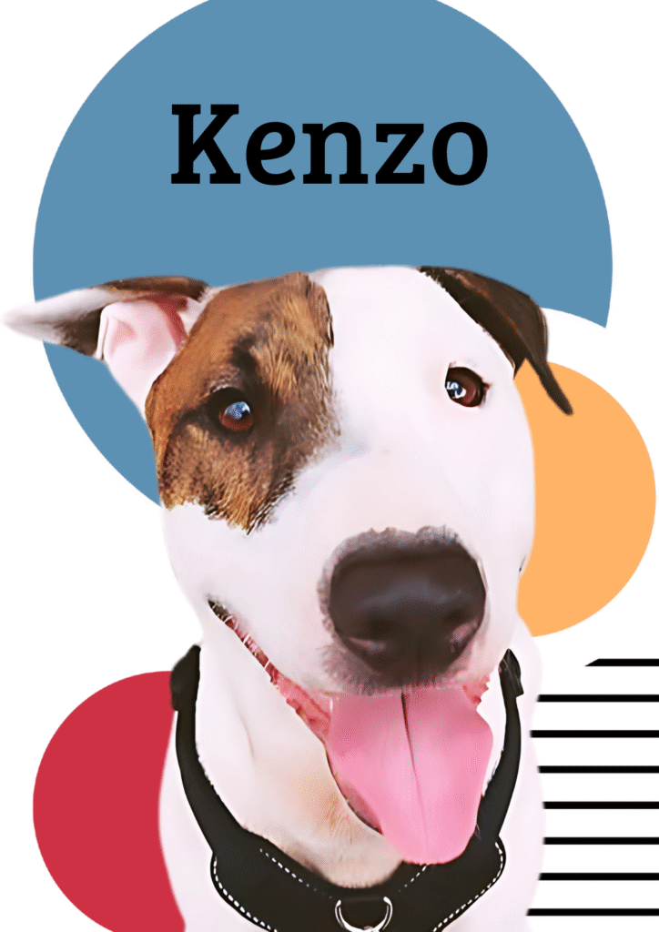 Imagen #1 de Kenzo