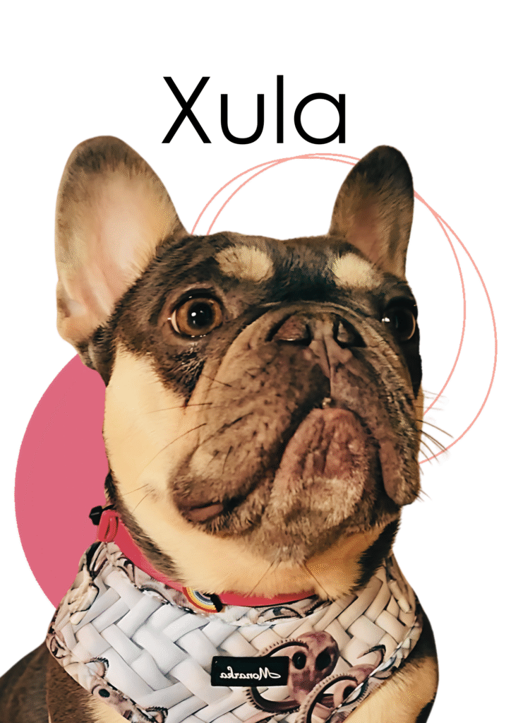 Imagen #1 de Xula