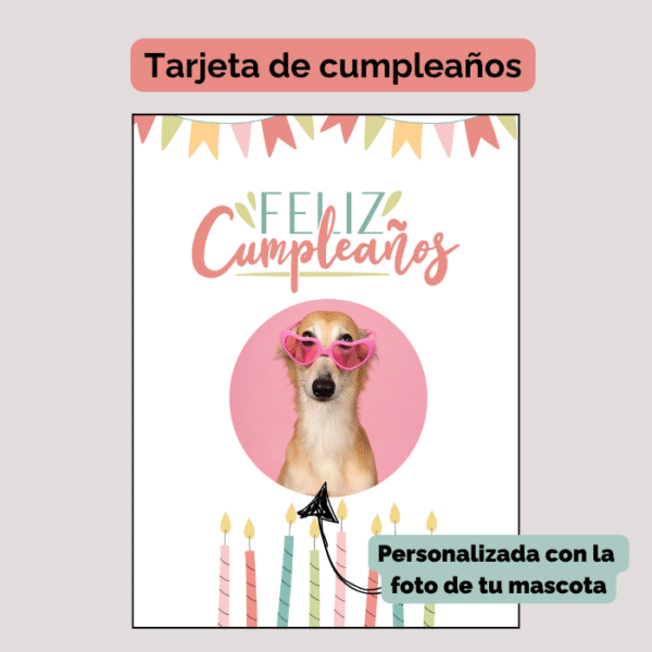 Kit para cumpleaños de mascota Nº1 - Imagen 3