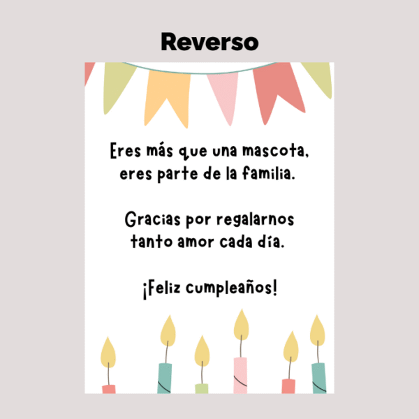 Kit para cumpleaños de mascota Nº1 - Imagen 5