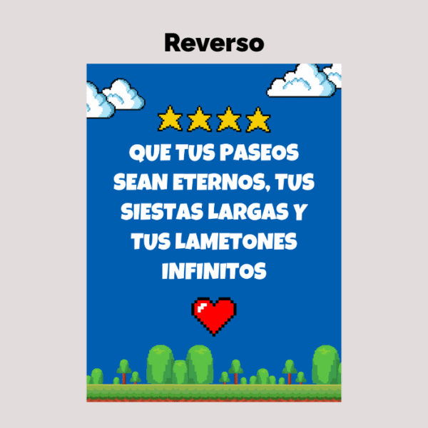 Kit para cumpleaños de mascota Nº3 - Imagen 5