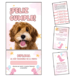 Kit para cumpleaños de mascota Nº4