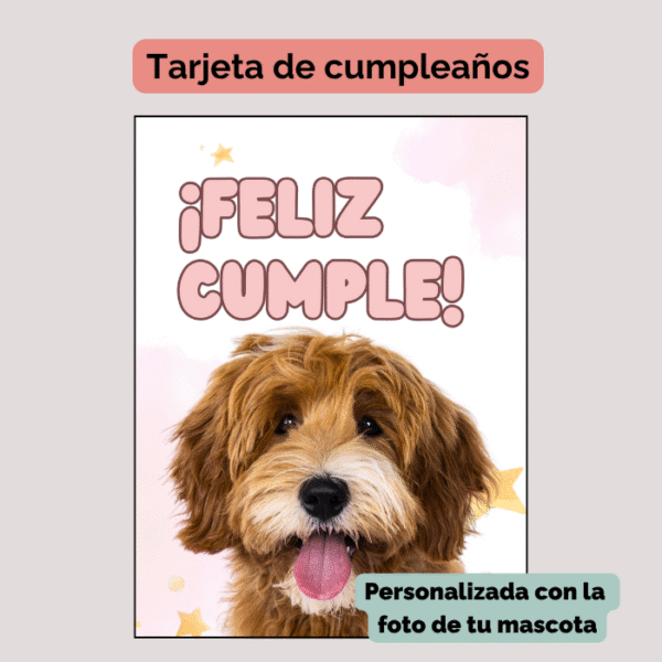 Kit para cumpleaños de mascota Nº4 - Imagen 3