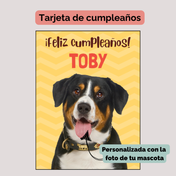 Kit para cumpleaños de mascota Nº2 - Imagen 3