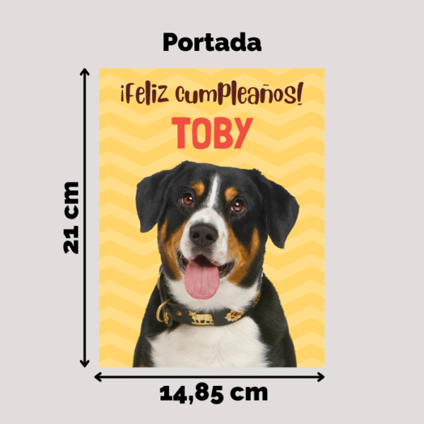 Kit para cumpleaños de mascota Nº2 - Imagen 4