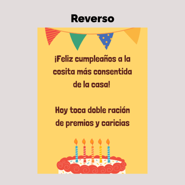Kit para cumpleaños de mascota Nº2 - Imagen 5