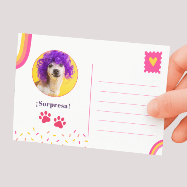 Postal Mascota Nº1 - Imagen 5