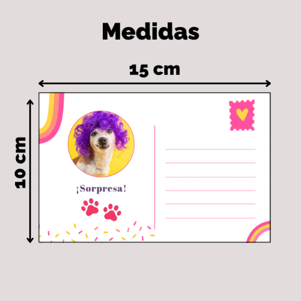 Postal Mascota Nº1 - Imagen 6