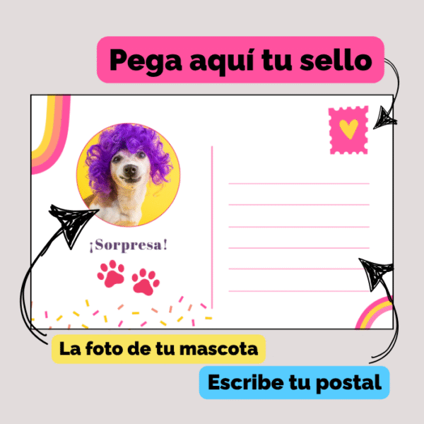 Postal Mascota Nº1 - Imagen 7