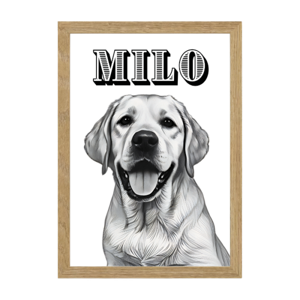 Diseño Trazcor - Imagen 6
