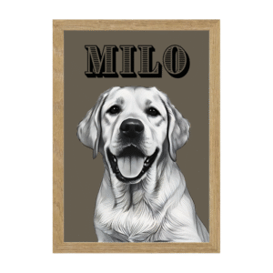 Diseño Trazcor