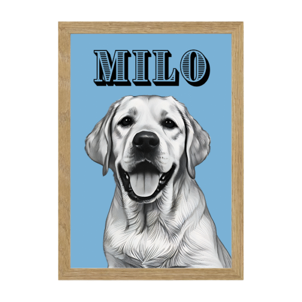 Diseño Trazcor - Imagen 3