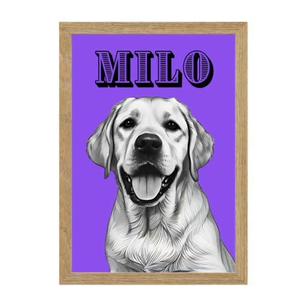 Diseño Trazcor - Imagen 10