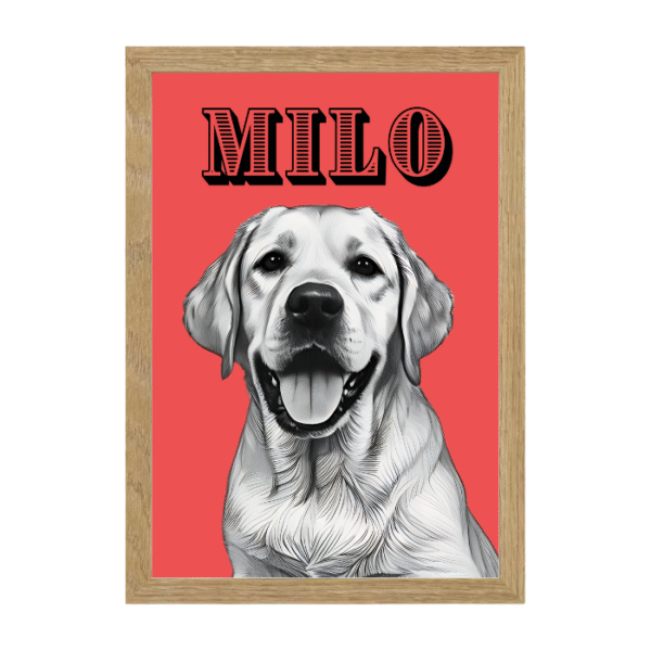 Diseño Trazcor - Imagen 8